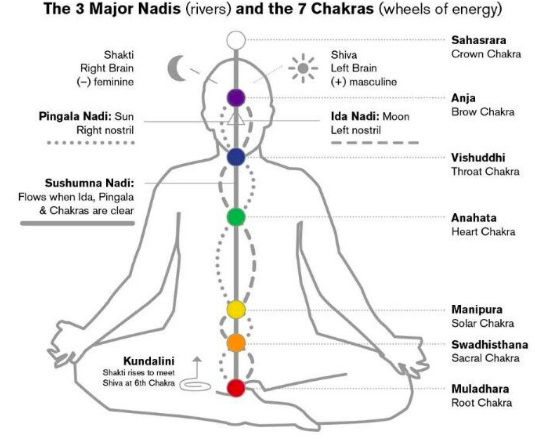 innerlotus.com