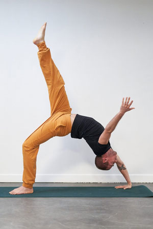 Tom-Yoga À propos